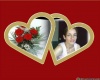 Profile ID#