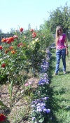����� ���#