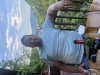 Анкета ID#